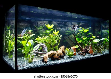 Fish And Aquarium 150 Liters At Home