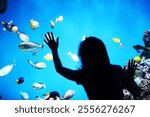 Fish in aquarium. Oceanarium. Ocean fish in the aquarium. Nature protection concept. Fish underwater in the aquarium