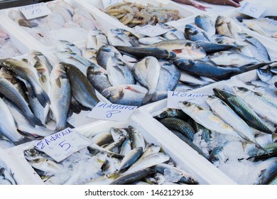 fish assortment, market in Greece