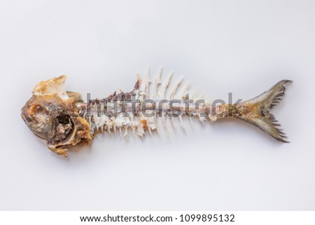 Fish bone fried fish