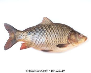 46,109 Carp isolated Images, Stock Photos & Vectors | Shutterstock