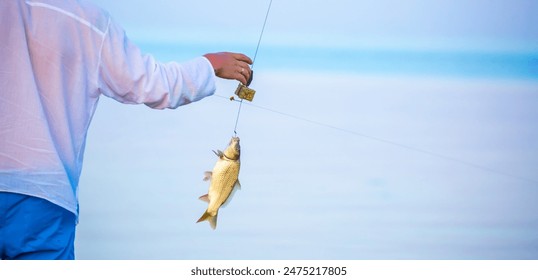 A fish caught on a fishing rod, a fish hanging on a hook. Spinning fishing, a man's hobby. Commercial fishing. - Powered by Shutterstock