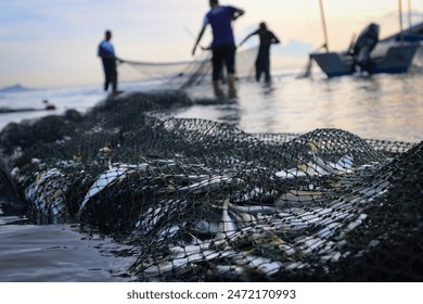 Fish caught using a trawl net. - Powered by Shutterstock