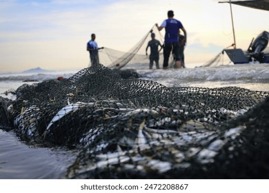 Fish caught using a trawl net.