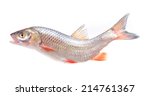 Fish chub