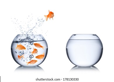fish escape concept - Shutterstock ID 178130330