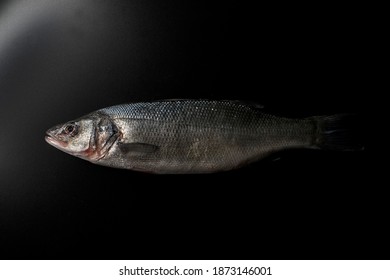 Fish European bass (sea bass)
 fresh on black background