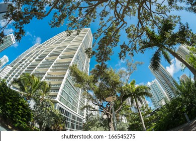 Fish Eye View Of Brickell Park In Downtown Miami Along Biscayne Bay.