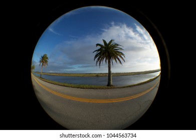 Fish Eye View In Ormond Beach Florida 