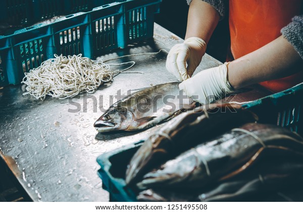 fish factory\
process