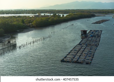 A Fish Farm