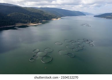 Fish Farm In A Dam Photographed From Above