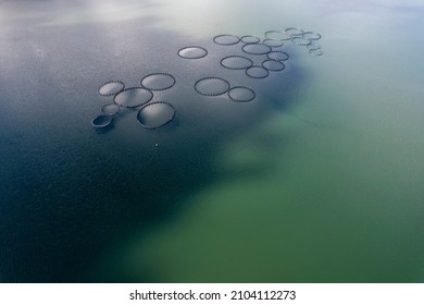 Fish Farm In A Dam Photographed From Above