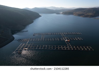 Fish Farm In A Dam Photographed From Above