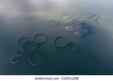 Fish Farm In A Dam Photographed From Above