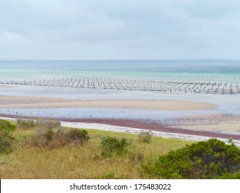 Fish Farm At The East Side Of Kangaroo Island In South Australia