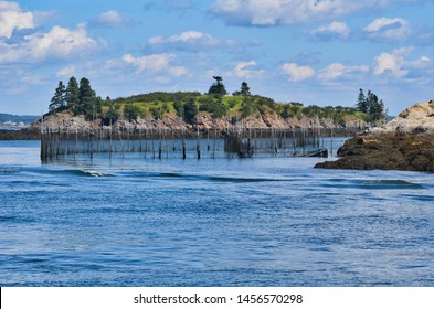 Fish Farm Fencing Mid Bay Near St Andrews New Brunswick Canada