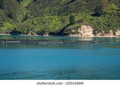 A Fish Farm In The Marlborough Sounds New Zealand