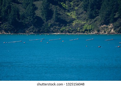 A Fish Farm In The Marlborough Sounds New Zealand