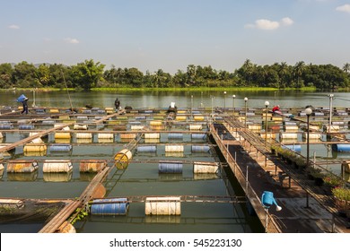 Fish Farm At River Side In Thailand.