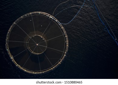 Fish Farm Salmon Marine Sea Nets Farming At Loch Fyne Scotland UK