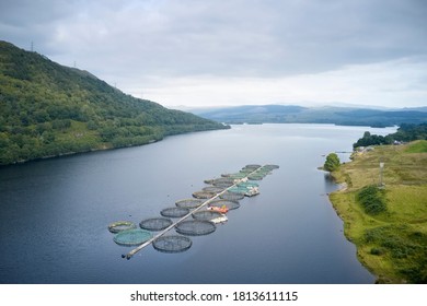 Fish farm salmon round nets in natural environment Loch Awe Arygll and Bute Scotland