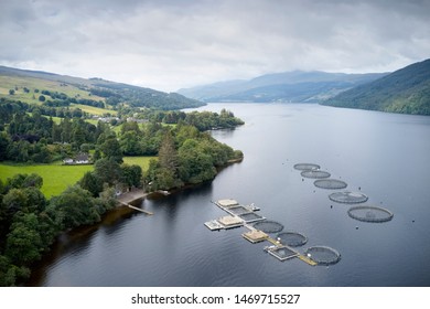 Fish Farm Salmon Sea Nets Farming At Sea Loch Tay Scotland UK