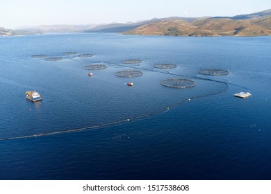 Fish Farm Salmon Sea Nets Farming At Sea Loch Tay Scotland UK