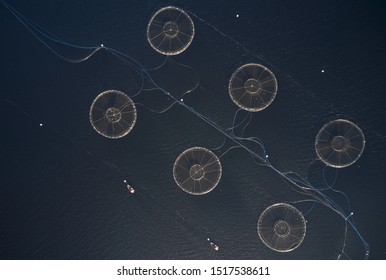 Fish Farm Salmon Sea Nets Farming At Sea Loch Tay Scotland UK