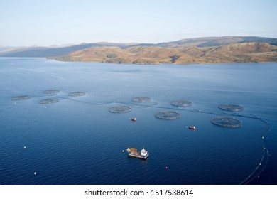 Fish Farm Salmon Sea Nets Farming At Sea Loch Tay Scotland UK