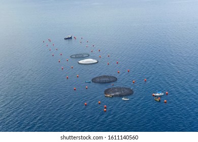 Fish Farm At Sea. Top View Of The Fish Farm.