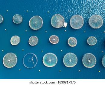 Fish Farm Structures From Above