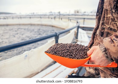 Fish Farm Worker Holds Scoop Of Pelleted Feed For Feeding Rainbow Trout And Salmon.