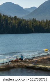 A Fish Farm Worker Stands On The Floating Platform Of An Aquaculture Site In British Columbia, Canada.  Mountains And Forest Are Seen In The Background.