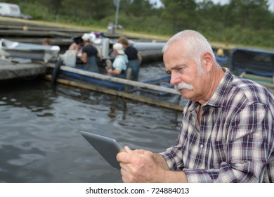 fish farmer checking his tablet at worker