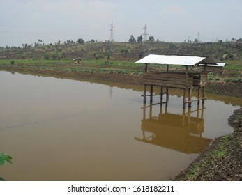 Fish Farming Mixed With Rabbit Farming