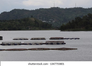 Fish Farming In Rwanda. Lake Kivu, Africa