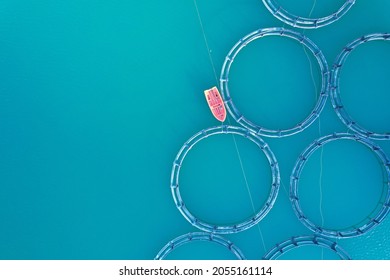 Fish Farming The Seabass And The Gilthead Fish , Aquaculture Farms For Fish And A Small Boat Used To Feed The Fish And Transport The Food