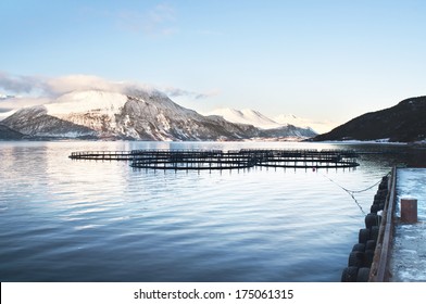 Fish Farms In Northern Norway