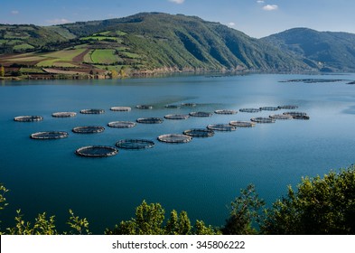Fish farms on the Kizilirmak River