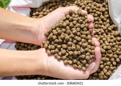 Fish-feed Images, Stock Photos & Vectors | Shutterstock