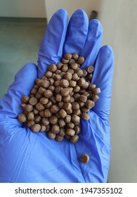 Fish Feed Pellet On The Hand Palm. Purple Nitrile Gloves. Fish In The Tank As Background