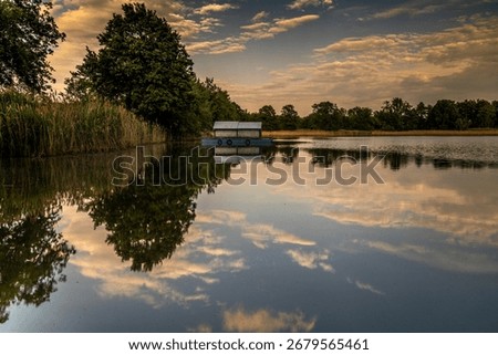 Fish feeder in the carp pond in the Upper Lusatian heath and pond landscape