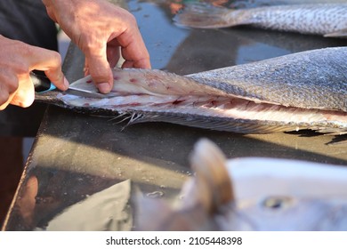 A Fish Fillet, From The French Word Filet Meaning A Thread Or Strip, Is The Flesh Of A Fish Which Has Been Cut Or Sliced Away From The Bone By Cutting Lengthwise Along One Side Of The Fish .