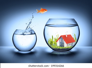 Fish Find House - Real Estate Concept 