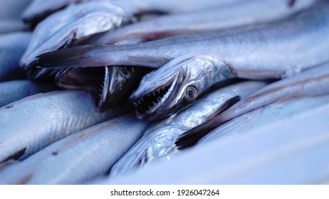 Fish At The Fishmonger Display