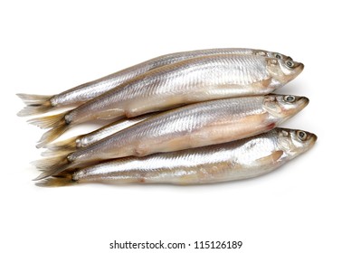 Fish Food Isolated On White Background