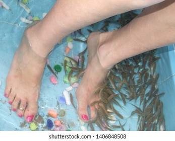 The Fish Foot Spa Is Where You Put Your Feet In A Fish Tank And The Fish Eat The Dead Skin Off Your Feet. Vietnam Fish Foot Spa.
