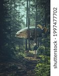   Fish in the forst