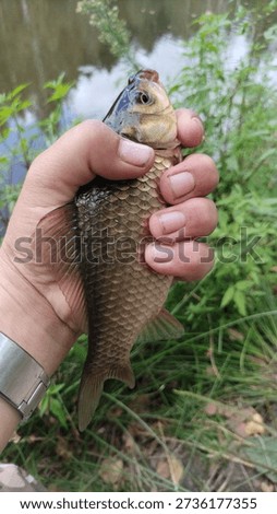 
The fish got caught on a hook